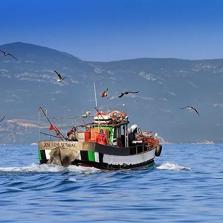 Appartement Duplexdubocage Setúbal